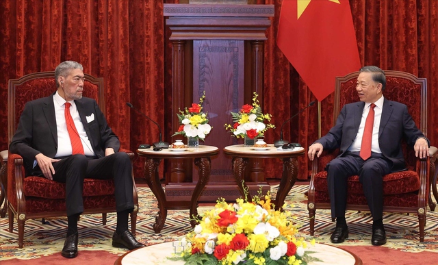 越共中央总书记、国家主席苏林接见多米尼加统一左翼运动党高级代表团 - Ảnh 1.