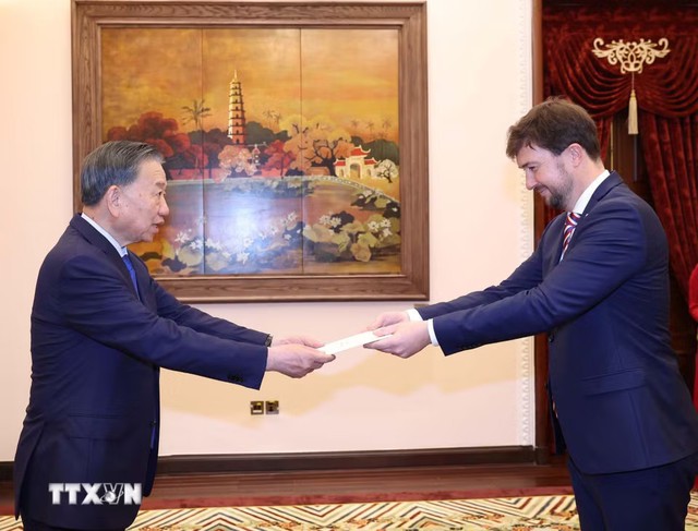 总书记、国家主席苏林外国新任驻越大使递交国书- Ảnh 1.