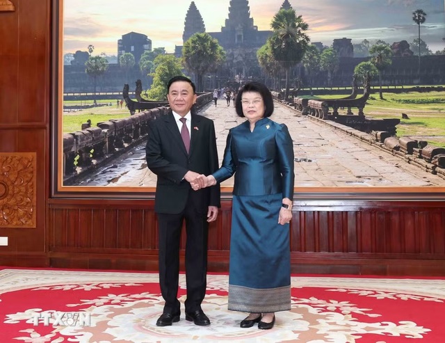 越共中央书记处常务书记陈锦秀会见柬埔寨国会主席昆索达莉- Ảnh 1.