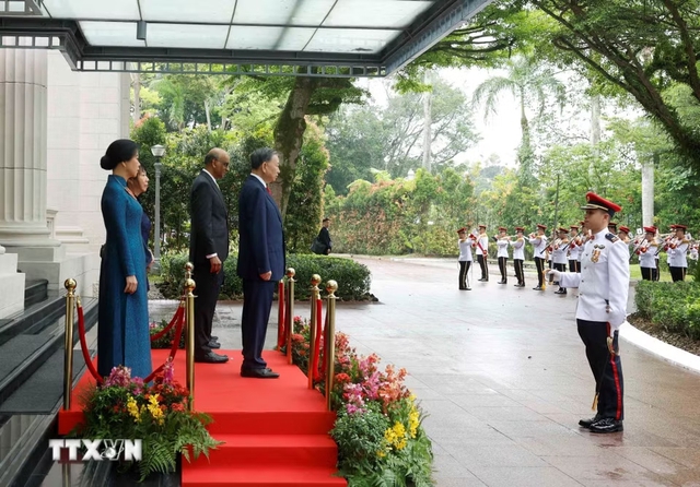 新加坡总统尚达曼与夫人主持仪式 欢迎越共中央总书记、国家主席苏林与夫人到访- Ảnh 3. 新加坡总统尚达曼与夫人主持仪式 欢迎越共中央总书记、国家主席苏林与夫人到访- Ảnh 3.
