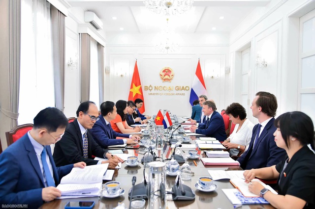 越南—荷兰外交部副部长级第二次政治磋商在越南举行- Ảnh 1.