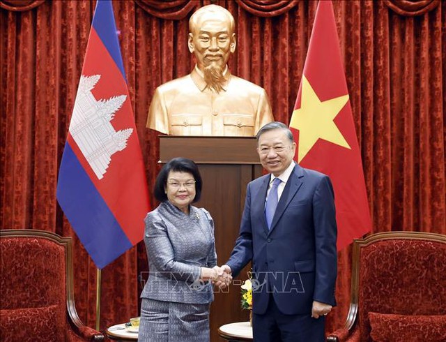 越共中央总书记、国家主席苏林会见柬埔寨国会主席昆索达莉- Ảnh 1.