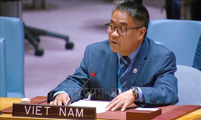越南呼吁停止暴力冲突 ，维护航海安全， 落实中东问题的“两国方案”- Ảnh 1.