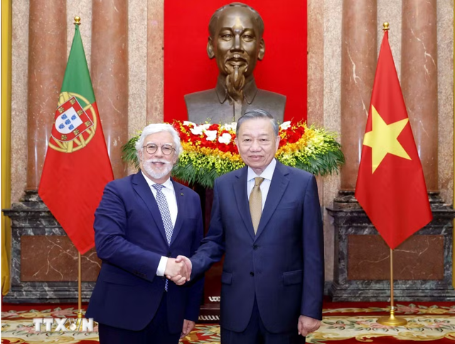 越共中央总书记、国家主席苏林会见赴越履新的各国大使- Ảnh 1. 越共中央总书记、国家主席苏林会见赴越履新的各国大使- Ảnh 1.