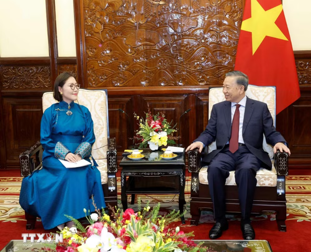 越共中央总书记、国家主席苏林会见赴越履新的各国大使- Ảnh 3. 越共中央总书记、国家主席苏林会见赴越履新的各国大使- Ảnh 3.