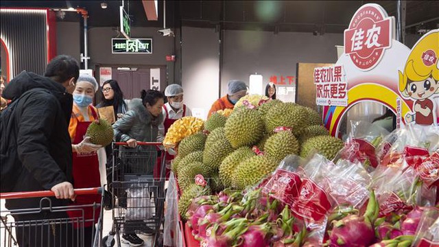中国媒体:东盟鲜果丰富中国果盘- Ảnh 1. 中国媒体:东盟鲜果丰富中国果盘- Ảnh 1.