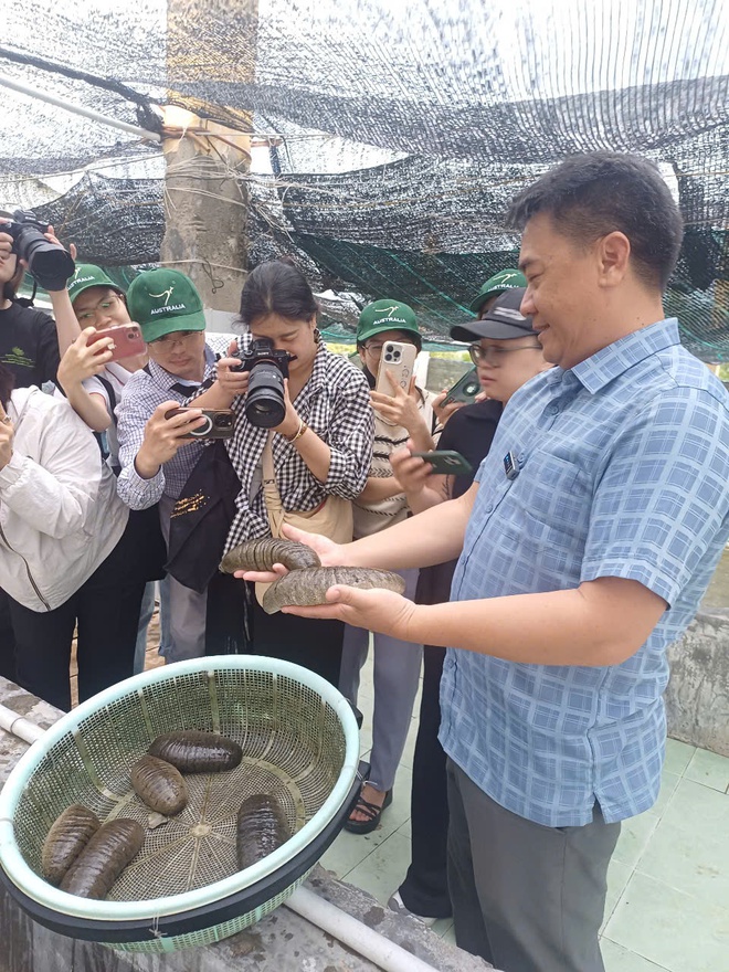 Australia vows to support Viet Nam’s transition to sustainable, climate-resilient agriculture- Ảnh 3. Australia vows to support Viet Nam’s transition to sustainable, climate-resilient agriculture- Ảnh 3.