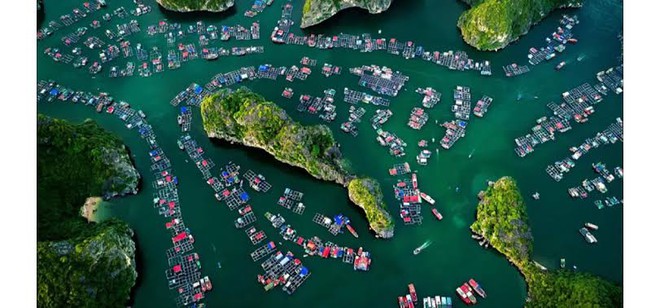 Viet Nam well positioned to become strong maritime nation- Ảnh 5.