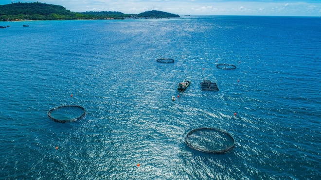 Viet Nam well positioned to become strong maritime nation- Ảnh 6.