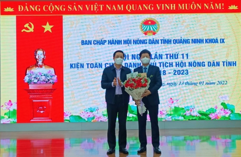 Kiện toàn tổ chức, nhân sự 4 tỉnh thành - Ảnh 3.