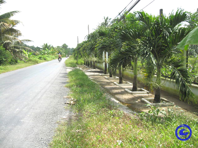 Công nhận huyện Gò Công Tây (Tiền Giang) đạt chuẩn nông thôn mới - Ảnh 1.