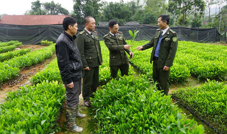 Tiêu chí công nhận giống cây trồng lâm nghiệp