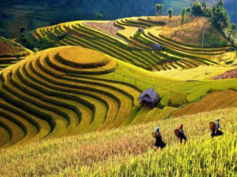 Bộ KH&ĐT lên kế hoạch hành động phát triển KTXH vùng Trung du, miền núi Bắc Bộ - Ảnh 1.