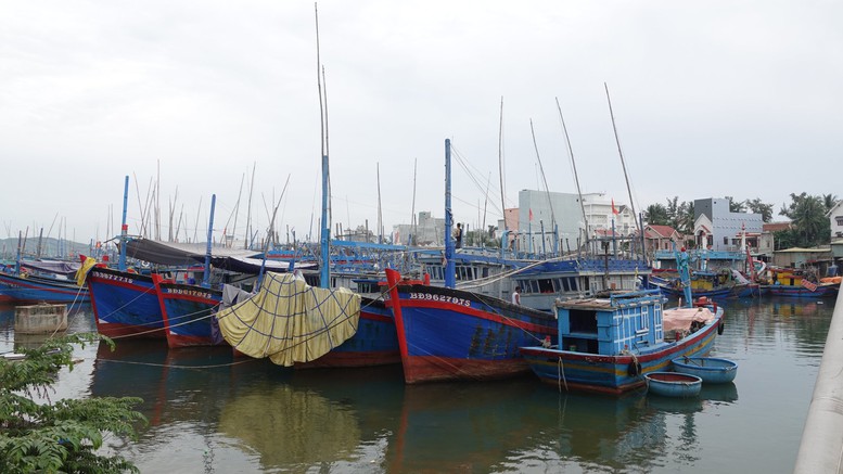 Bình Định kiểm tra kỹ việc lắp đặt thiết bị giám sát hành trình của tàu cá - Ảnh 3.