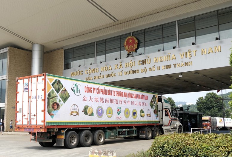 Lần đầu tiên sầu riêng xuất khẩu chính ngạch qua Cửa khẩu  Kim Thành (Lào Cai) - Ảnh 1.