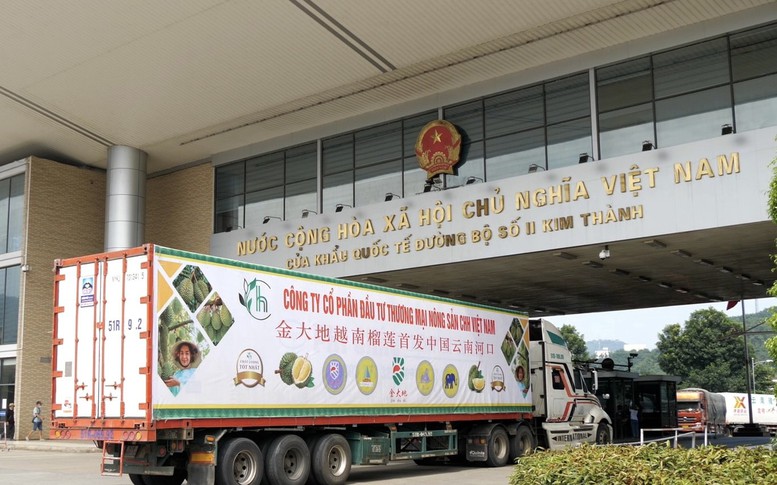 Lần đầu tiên quả sầu riêng xuất khẩu chính ngạch qua Cửa khẩu  Kim Thành (Lào Cai)
