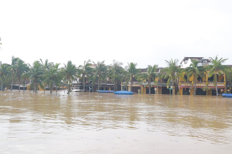 Miền Trung khẩn cấp ứng phó với bão số 5 và mưa lũ - Ảnh 5.