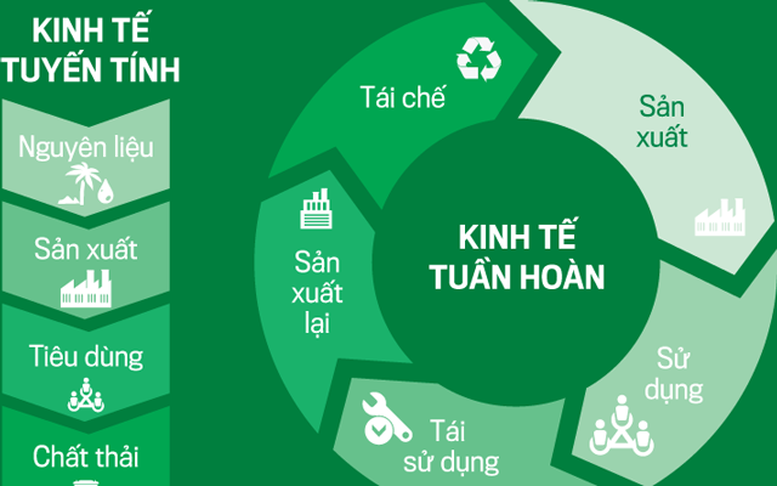 Phát triển kinh tế tuần hoàn cần bắt đầu từ tư duy đúng