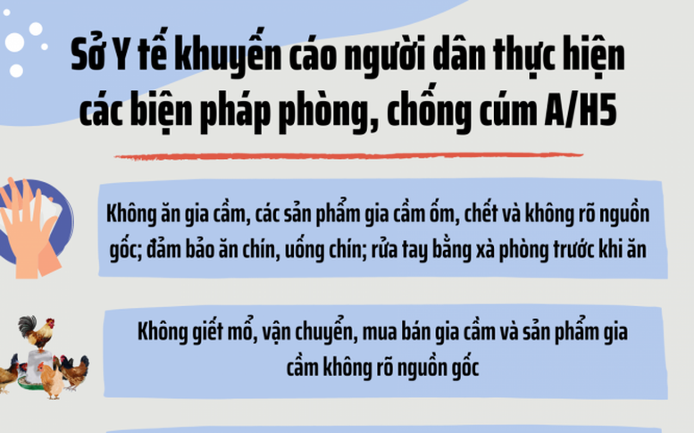 Các địa phương chủ động phòng chống cúm gia cầm lây nhiễm sang người