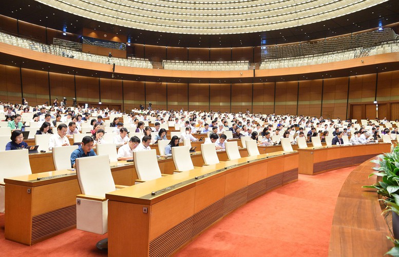 Quốc hội thảo luận: Giữ thanh tra huyện, thành lập thanh tra tổng cục, cục thuộc bộ - Ảnh 2.