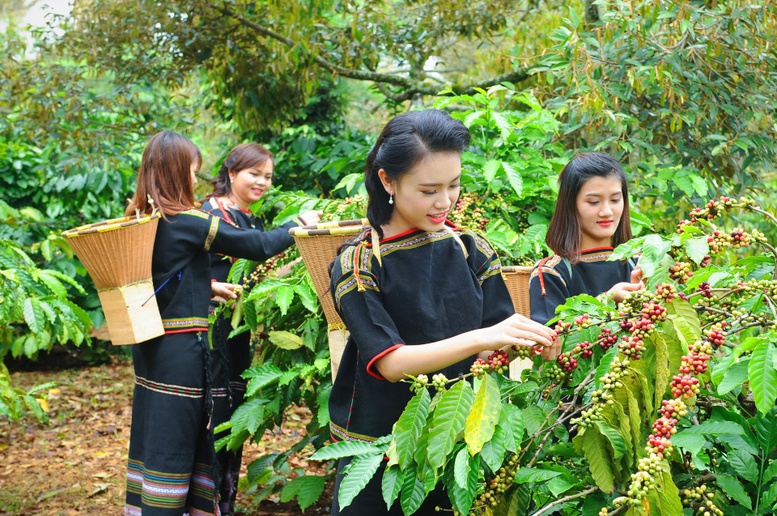 Chương trình hành động của Chính phủ phát triển kinh tế - xã hội vùng Tây Nguyên đến năm 2030 - Ảnh 1.