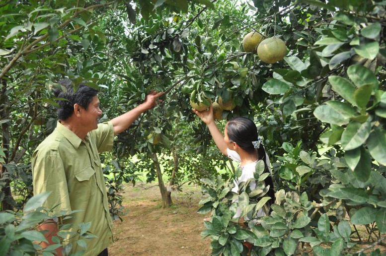 Hòa Bình nỗ lực thực hiện chính sách an sinh xã hội cho người dân - Ảnh 1.