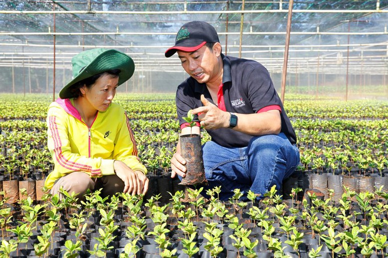 NESCAFÉ Plan 2030 tiếp tục thúc đẩy nông nghiệp tái sinh và giảm phát thải khí nhà kính - Ảnh 1.