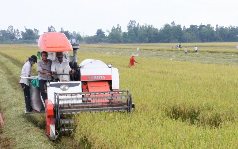 Thúc đẩy phát triển các ngành hàng nông sản bằng cơ giới hóa