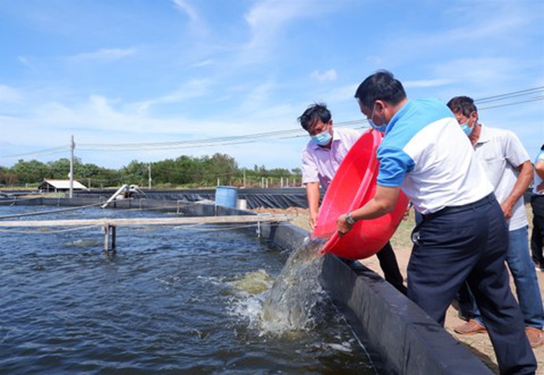 Bến Tre: Hướng đến hoàn thiện 8 chuỗi sản phẩm nông nghiệp chủ lực - Ảnh 2.