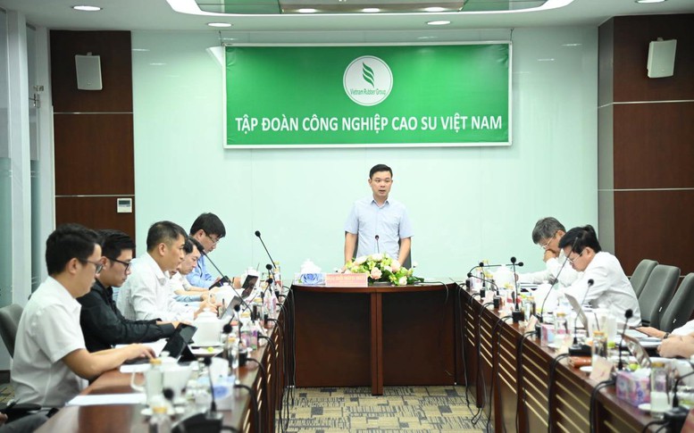 Nghiên cứu giải quyết các vướng mắc, khó khăn của Tập đoàn Cao su Việt Nam