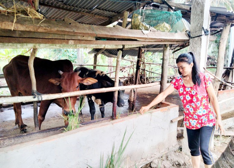 Bến Tre ban hành Kế hoạch về phát triển đa dạng sinh kế, thoát nghèo bền vững - Ảnh 1.
