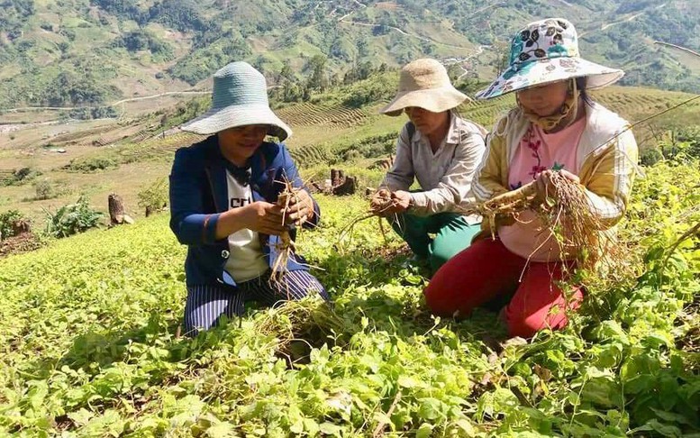 Để ‘viên ngọc xanh’ Tây Nguyên phát triển bền vững