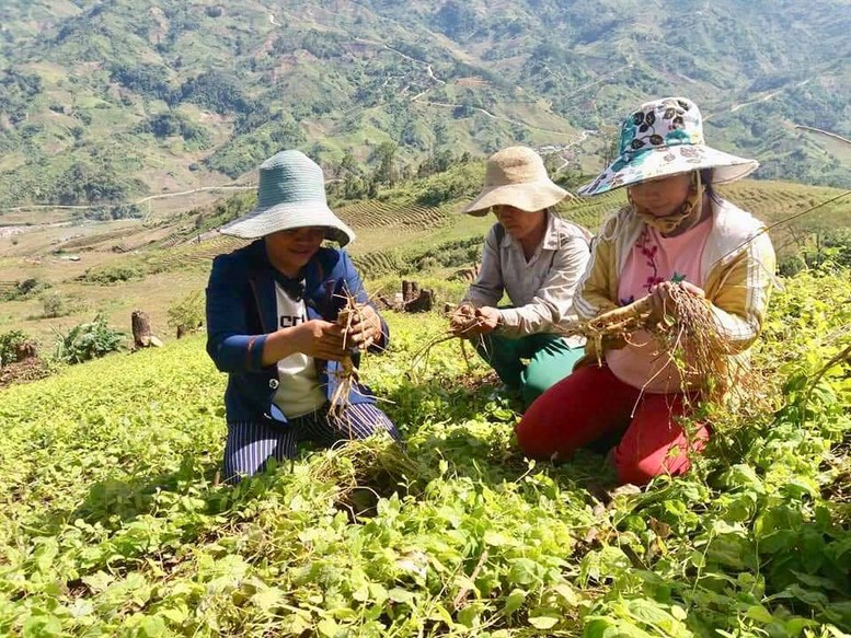 Tây Nguyên-‘Viên ngọc xanh’ hứa hẹn nhiều tiềm năng - Ảnh 2.