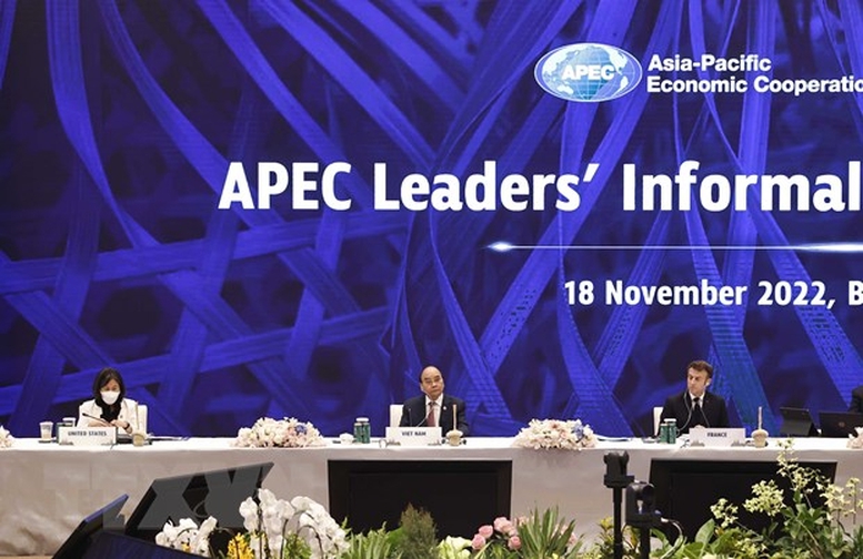 Chủ tịch nước dự đối thoại giữa các nhà lãnh đạo APEC với các khách mời - Ảnh 1.