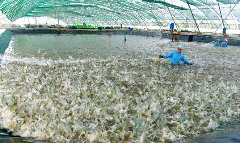  Cảnh báo tìn trạng bán thuốc thú , thủy sản kém chất lượng trên mạng - Ảnh 1.