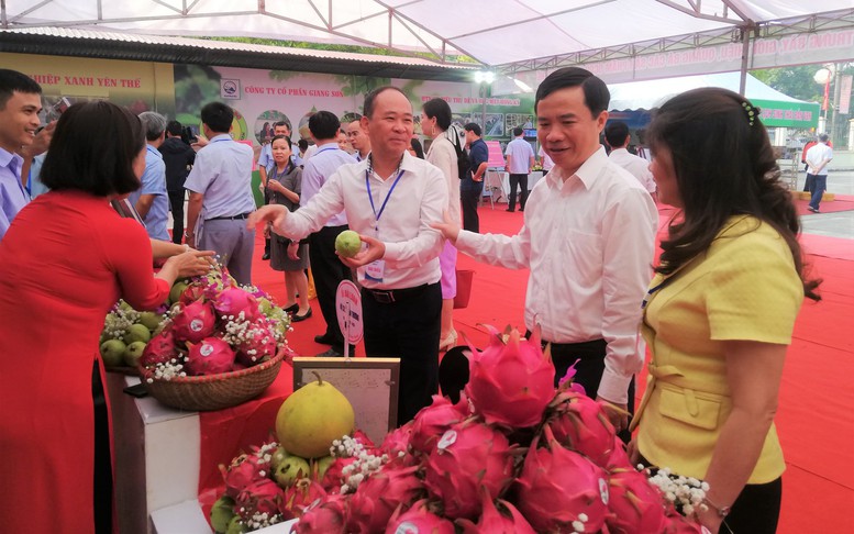 Bắc Giang xây dựng vùng an toàn dịch cúm gia cầm đầu tiên ở miền Bắc