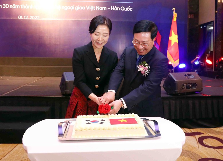 Kỷ niệm 30 năm thiết lập Quan hệ ngoại giao Việt Nam-Hàn Quốc - Ảnh 2.