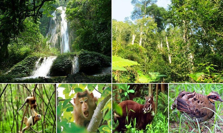 COP15: Tìm giải pháp chung sống hài hòa giữa con người và thiên nhiên - Ảnh 2.