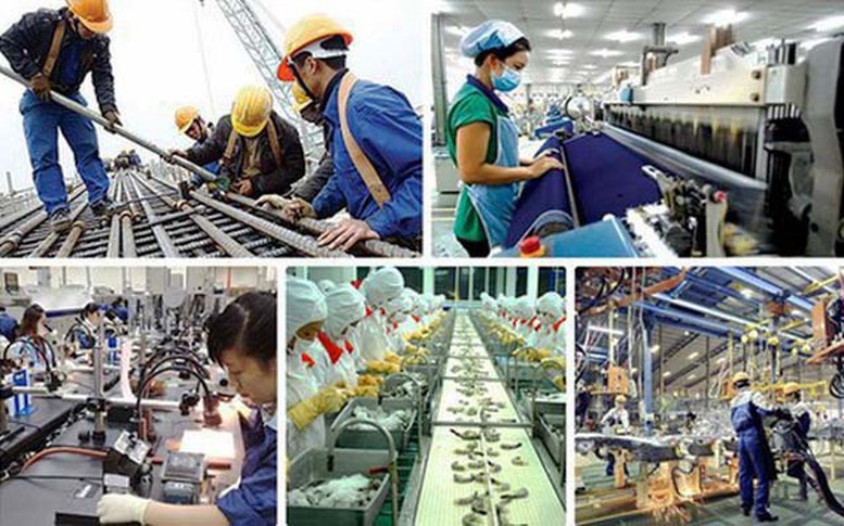 Chuẩn hóa quy định về tiêu chuẩn, quy chuẩn kỹ thuật