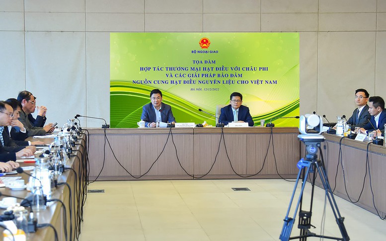 Hợp tác thương mại hạt điều với châu Phi và các giải pháp bảo đảm nguồn cung hạt điều nguyên liệu cho Việt Nam