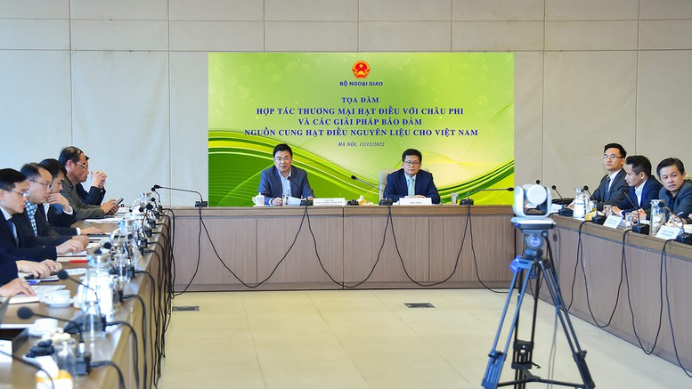 Hợp tác thương mại hạt điều với châu Phi và các giải pháp bảo đảm nguồn cung hạt điều nguyên liệu cho Việt Nam - Ảnh 1.