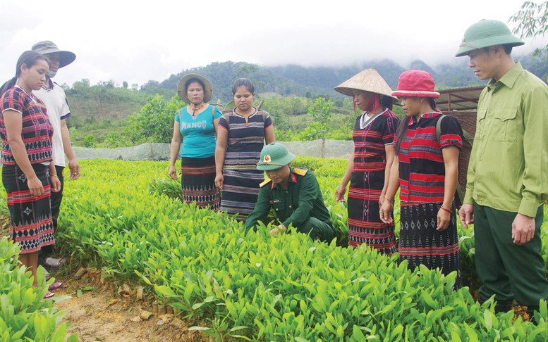 Thừa Thiên Huế đẩy nhanh tiến độ thực hiện 3 chương trình mục tiêu quốc gia