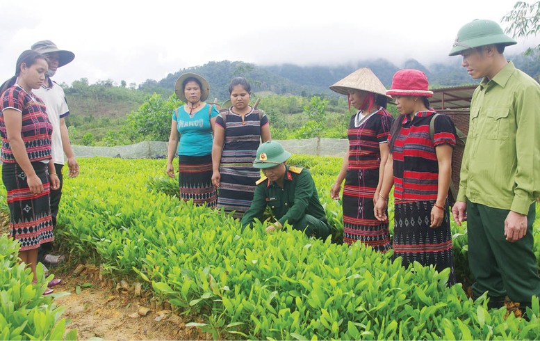 Thừa Thiên Huế đẩy nhanh tiến độ thực hiện 3 chương trình mục tiêu quốc gia - Ảnh 1.