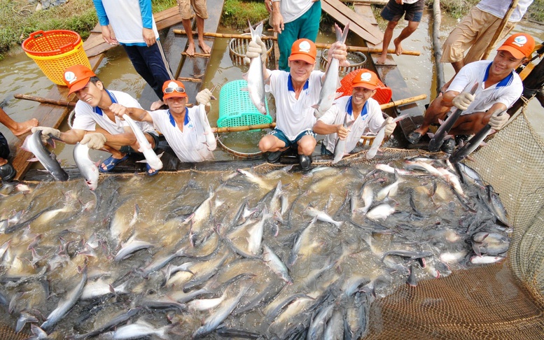 Lễ hội cá tra: 'Vươn ra biển lớn'