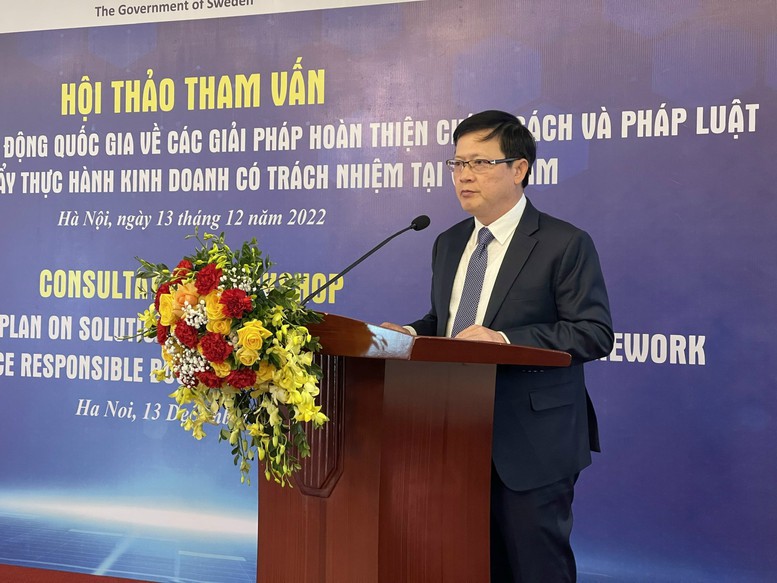 Tham vấn Chương trình hành động quốc gia về thực hành kinh doanh có trách nhiệm - Ảnh 1.