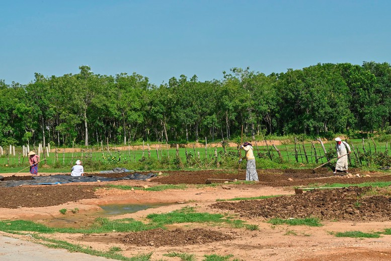 Bình Thuận: Hiệu quả chính sách đầu tư ứng trước giúp bà con dân tộc thiểu số thoát nghèo - Ảnh 1.