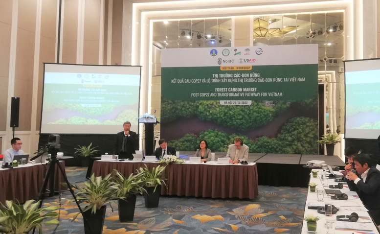 Xây dựng thị trường tín chỉ carbon rừng ở Việt Nam - Ảnh 1.