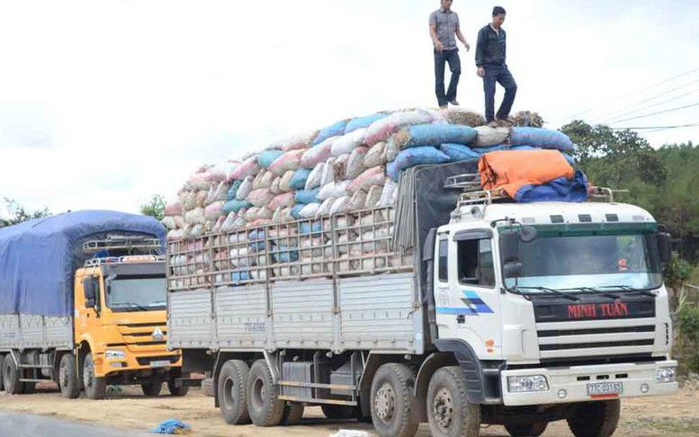 Không giải quyết thủ tục hải quan đối với xe quá tải