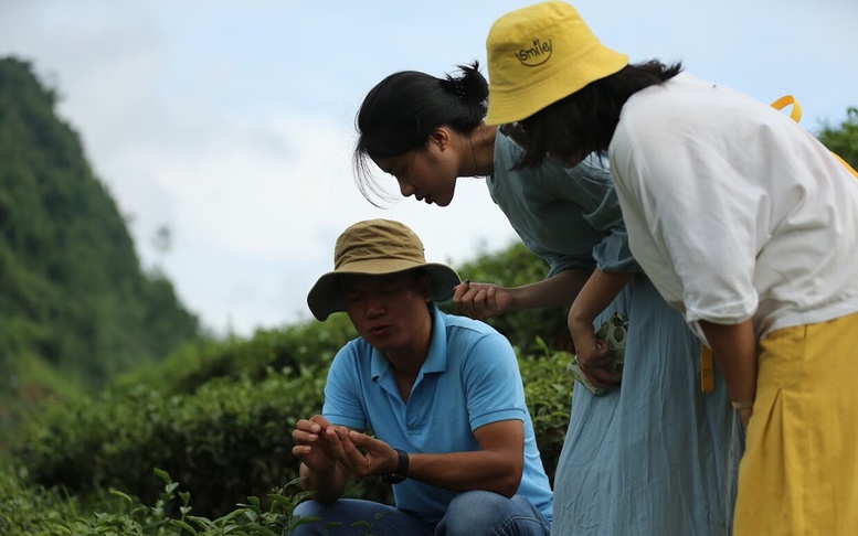 Phát triển du lịch nông nghiệp, nông thôn để thích ứng với xu thế mới