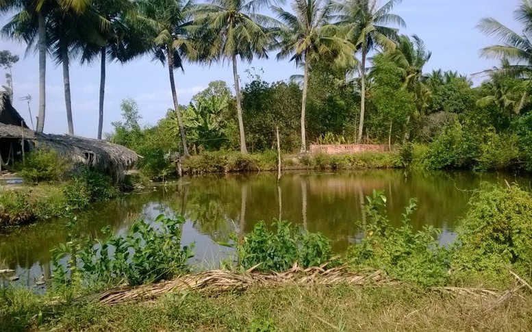Chuyển đất ao làm quán bán hàng có được không?